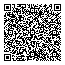 QR код "ДМ Систем"