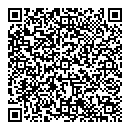 QR код "Аэлита"
