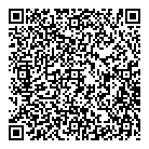 QR код "Snowimage"
