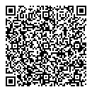 QR код "Swarovski elements"