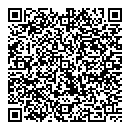 QR код "Анеон"