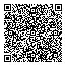 QR код "Все по 29"
