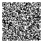 QR код "aliensmart.ru"