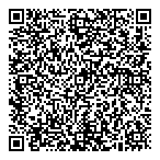 QR код "Дилер Сервис"