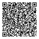 QR код "Дельфин"