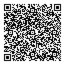 QR код "СССР"