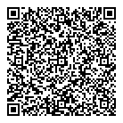 QR код "Спутник"