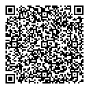 QR код "Спутник"