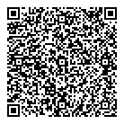 QR код "Викинг"