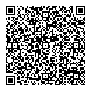QR код "100ловая"