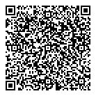 QR код "Квазар"