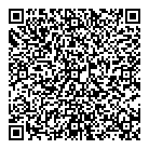 QR код "100 булавок"