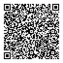 QR код "Вспышка"