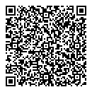 QR код "Спутник"