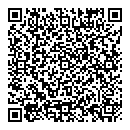 QR код "Solo"