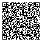 QR код "Лион"