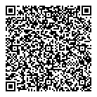 QR код "Лион"