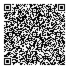 QR код "Лион"