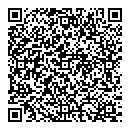 QR код "Созвездие"
