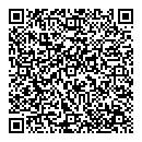 QR код "Спутник"