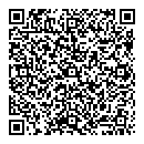 QR код "Звездный"