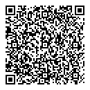 QR код "Рыжий кот"