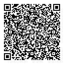 QR код "Глобус"