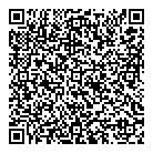 QR код "Solo"