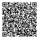 QR код "Глобус"