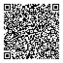 QR код "ДНС"