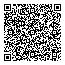 QR код "Блик"