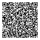 QR код "Domino"