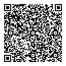 QR код "Little star"