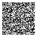 QR код "Fiesta"