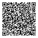 QR код "VIP идея"