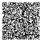QR код "Звездочка"