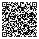 QR код "Авиатор"