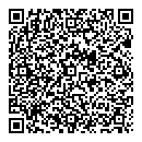 QR код "Паутина"