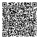 QR код "Lion"