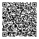 QR код "Элегия"