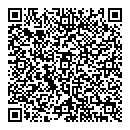 QR код "Домино"