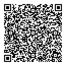 QR код "Solo"