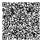QR код "Альтернатива"