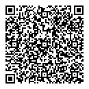 QR код "Венеция"