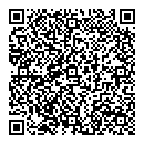 QR код "DOMiNO"