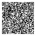 QR код "Северное Сияние"