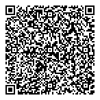 QR код "BBRAUN"
