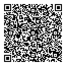 QR код "Shell"