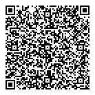 QR код "Домино"