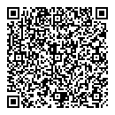 QR код "Дельфин"